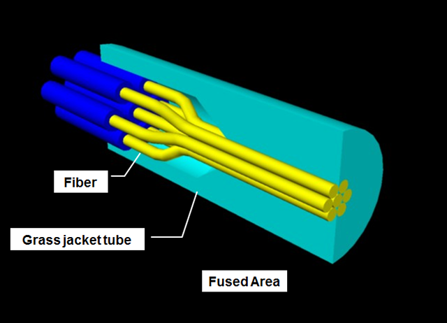 Nx1 FUSED BUNDLE FIBER